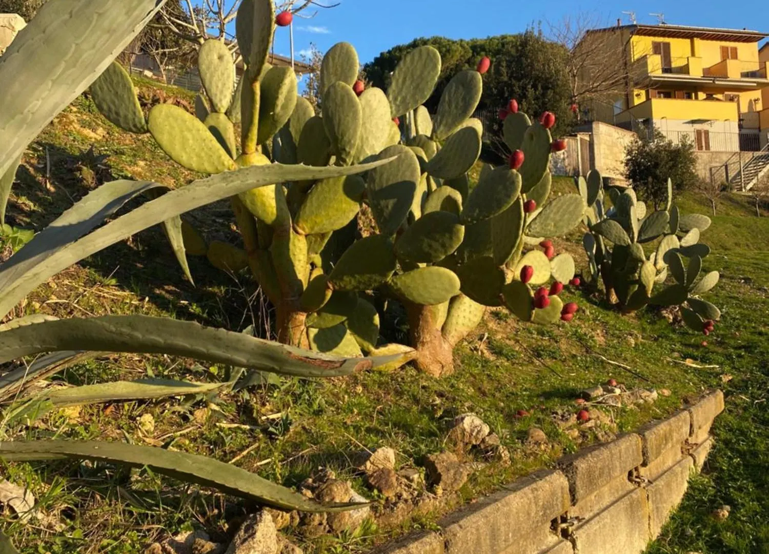La Casa Gialla Usigliano 0*,  Italy